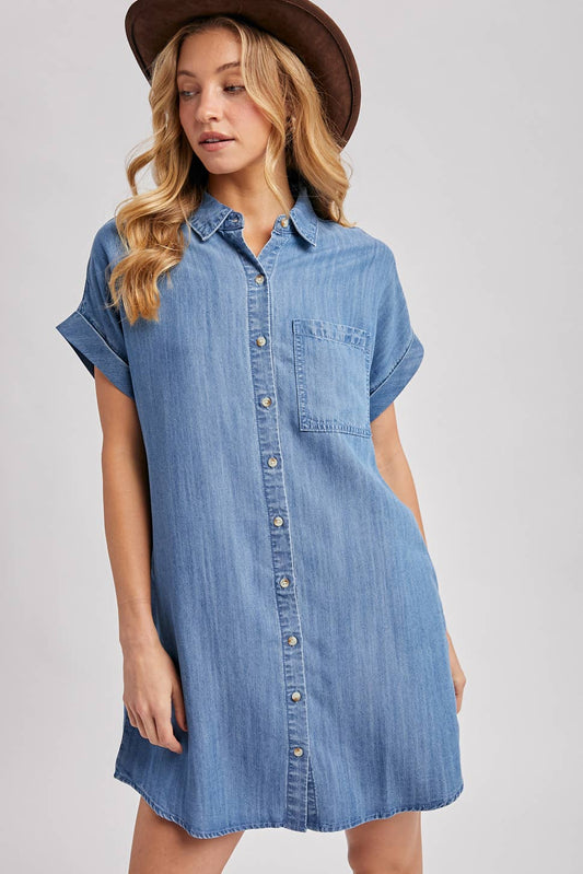 Drake Denim Dress