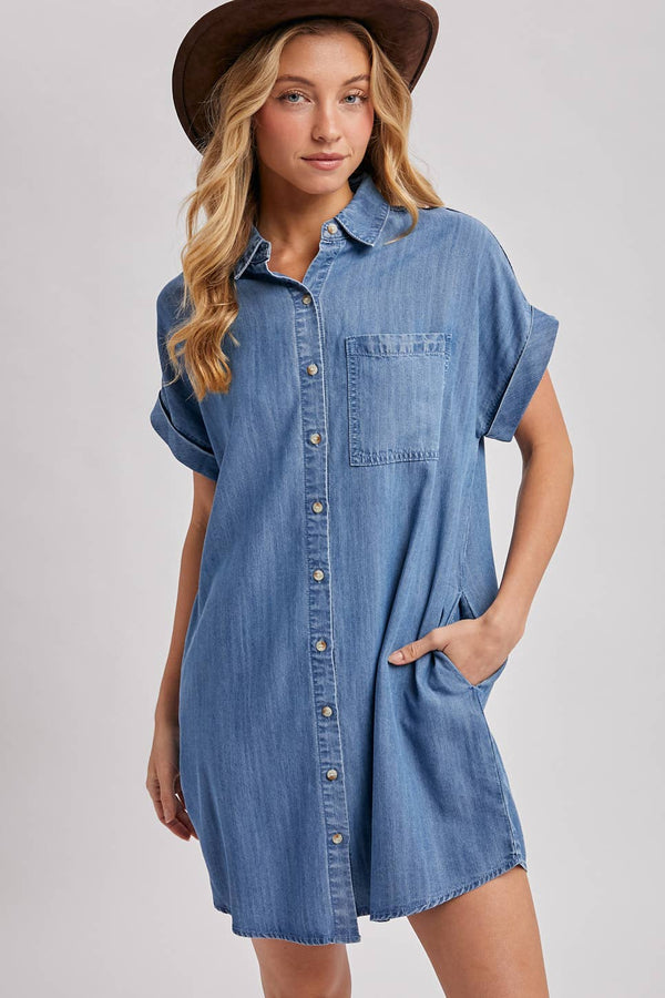 Drake Denim Dress