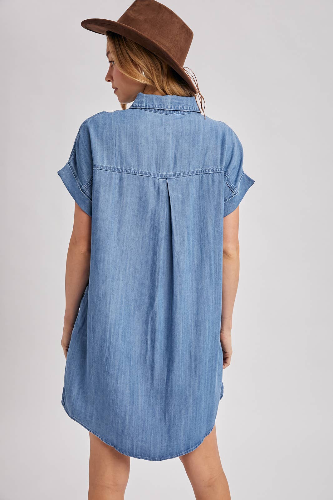 Drake Denim Dress